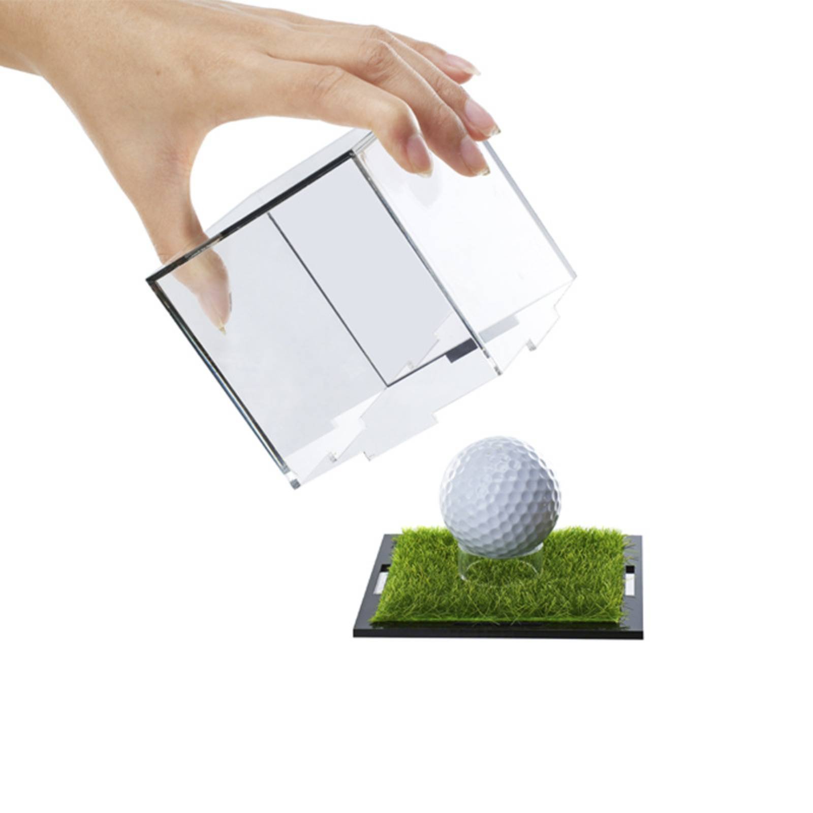 Mirror Back Display Case Remov - Display Case Acrylic review and price